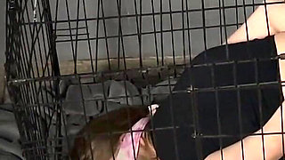 Little Slut Bonded Fucked in a Cage by a Machine Gets a Bowl of Cum to Lick