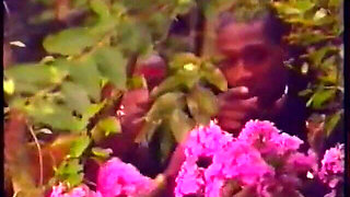 Sex party aan zee (1993)