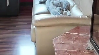 She Wakes Me up During My Nap so That I Can Fuck Her Pussy!