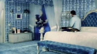 Vintage Porn 1970s, The Lovely Seka Fucks Her Man
