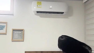 Stepsister Seduces Her Stepbrother in His Own Room