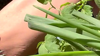 Pissing in My Garden.