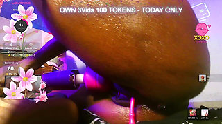 My Live Chat Room Pussy Play