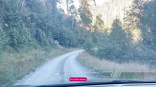 Desi Stepmom's Big Natural Tits Pressed in Car - StepSon Unzips Bra on Public Road Trip
