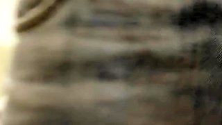 Amateur Asian Couple Frigging On Cam