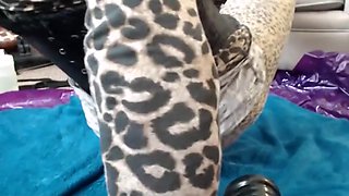 CROSSDRESSER AND DOMINA BBW WIFE