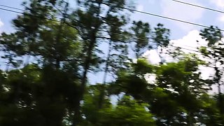 TeensInTheWoods Kirsten Lee bdsm nympho