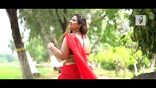 Saree Fashon BBW
