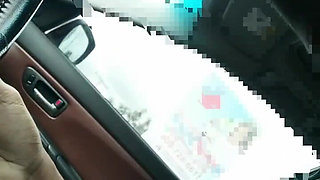 Damn, I Suck It in the Car
