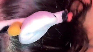 Beautiful Kitty Asked to Fill Her with Milk