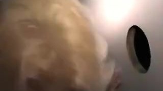 Vintage gloryhole sperm junkie in the adult cinema - snake