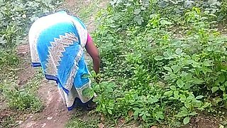 Village Aunty Shows Her Pussy to Ex-Boyfriend in Sugarcane Field