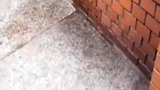 Pissing girls compil - 4