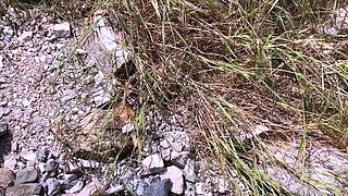 MILF POV Big Cock Blowjob