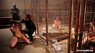 Feature Shoot Abandoned Slaves