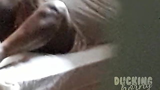 Spying on black bbw