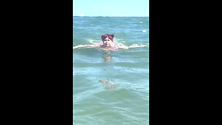 Seaside GF Experience