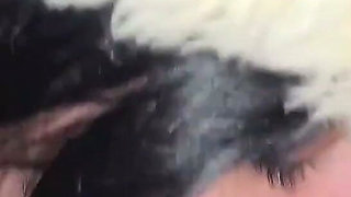A Double Blowjob in My Friend's Car Dirty Morbid Girls