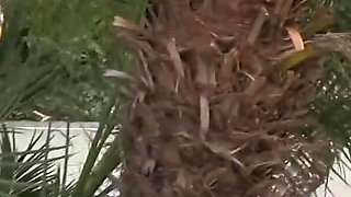 Big natural tits Rucca takes it in her hairy snatch