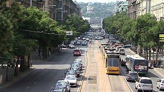 Two pregnant brunettes get fucked in this hardcore orgy