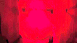 New Video
