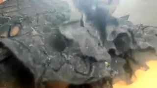 Shemale tranny enjoying solo masturbation