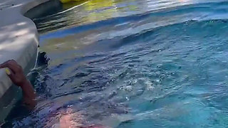 676542831405309952.mp4